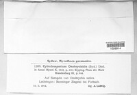 Image Associated With the Occurence